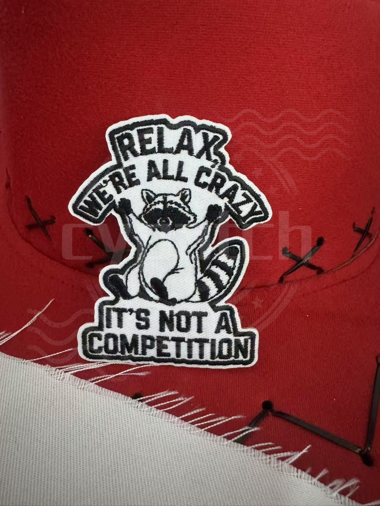 Funny embroidered patch with raccoon and quote “We’re all crazy, it’s not a competition”